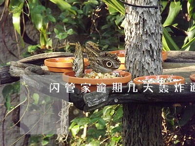 闪管家逾期几天轰炸通讯录 闪管家逾期几天轰炸通讯录