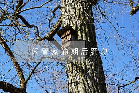 闪管家逾期后罚息 闪管家逾期后罚息