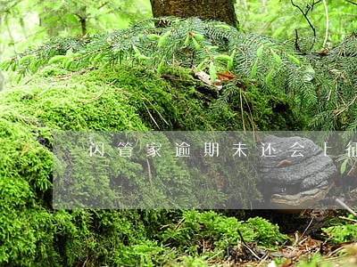闪管家逾期未还会上征信吗 闪管家逾期未还会上征信吗