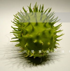 闪管家逾期没电话 闪管家逾期没电话