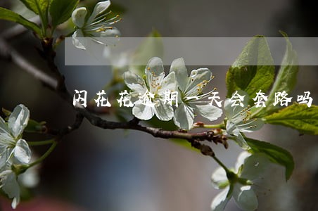 闪花花逾期一天会套路吗 闪花花逾期一天会套路吗