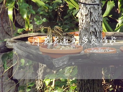 闪花花逾期多久催收 闪花花逾期多久催收