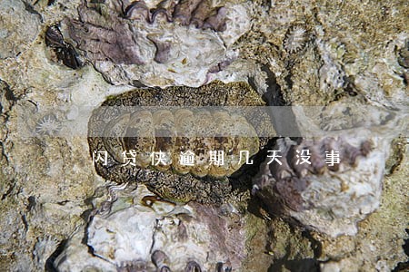 闪贷侠逾期几天没事 闪贷侠逾期几天没事