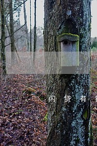 闪贷有钱有逾期的吗 闪贷有钱有逾期的吗