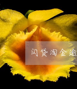 闪贷淘金逾期三天 闪贷淘金逾期三天
