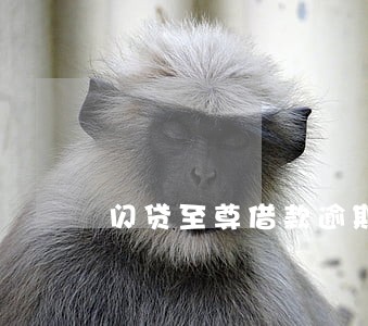 闪贷至尊借款逾期3天6 闪贷至尊借款逾期3天6