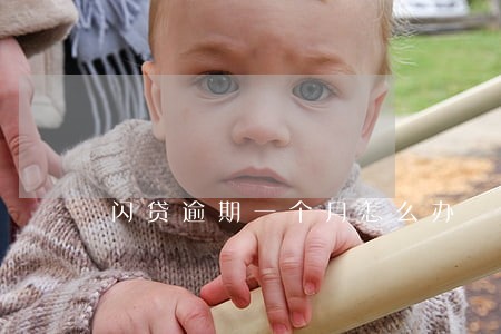 闪贷逾期一个月怎么办 闪贷逾期一个月怎么办