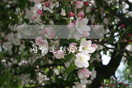 闪贷逾期后果 闪贷逾期后果