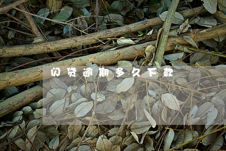 闪贷逾期多久下款 闪贷逾期多久下款