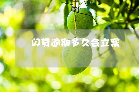 闪贷逾期多久会立案