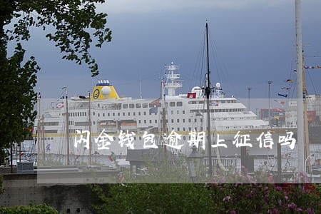 闪金钱包逾期上征信吗 闪金钱包逾期上征信吗