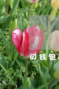 闪钱包逾期了还不上了怎么办 闪钱包逾期了还不上了怎么办
