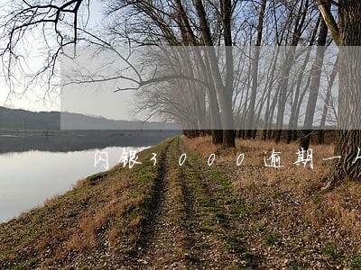 闪银3000逾期一个月 闪银3000逾期一个月