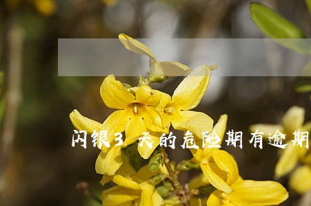 闪银3天的危险期有逾期费吗 闪银3天的危险期有逾期费吗