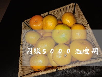 闪银5000元逾期 闪银5000元逾期