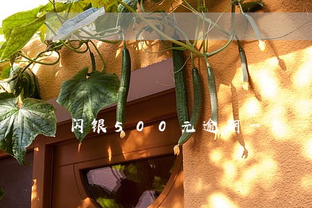 闪银500元逾期一年