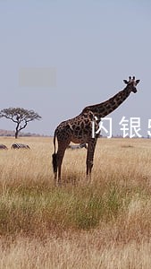 闪银5千块钱逾期 闪银5千块钱逾期