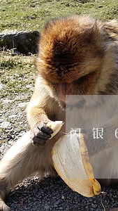 闪银6月份逾期会上征信吗 闪银6月份逾期会上征信吗