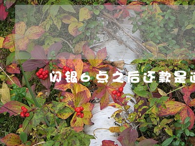 闪银6点之后还款是逾期吗 闪银6点之后还款是逾期吗
