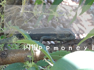 闪银ppmoney逾期会怎样 闪银ppmoney逾期会怎样