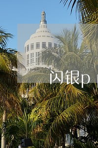 闪银ppmoney逾期天 闪银ppmoney逾期天