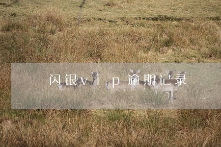 闪银vip逾期记录