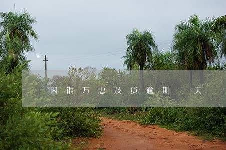 闪银万惠及贷逾期一天 闪银万惠及贷逾期一天