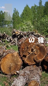 闪银上征信了逾期会怎么样 闪银上征信了逾期会怎么样