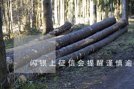 闪银上征信会提醒谨慎逾期