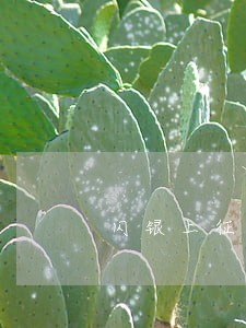 闪银上征信逾期两年了