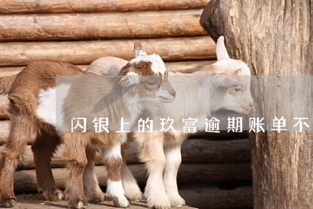 闪银上的玖富逾期账单不见了