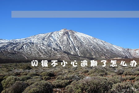 闪银不小心逾期了怎么办