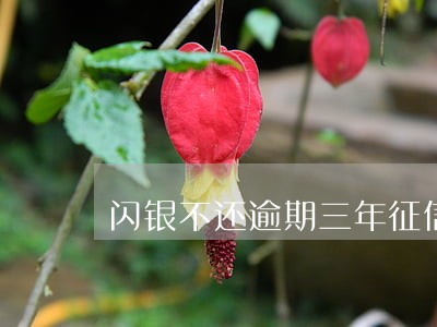 闪银不还逾期三年征信无问题 闪银不还逾期三年征信无问题