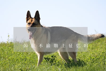 闪银不逾期上征信吗 闪银不逾期上征信吗