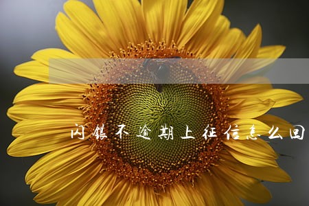 闪银不逾期上征信怎么回事 闪银不逾期上征信怎么回事