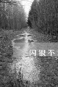 闪银不逾期上征信是怎么回事