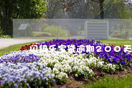 闪银乐宝袋逾期200天 闪银乐宝袋逾期200天