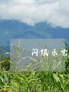 闪银乐宝贷逾期不还 闪银乐宝贷逾期不还