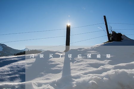 闪银买了征信保逾期 闪银买了征信保逾期