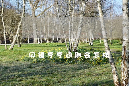 闪银亨亨逾期会怎样