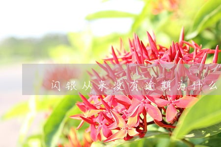 闪银从来没有逾期为什么借不了了 闪银从来没有逾期为什么借不了了