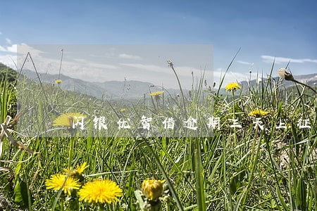 闪银优智借逾期三天上征信吗 闪银优智借逾期三天上征信吗
