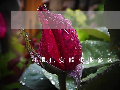 闪银信安能逾期多久 闪银信安能逾期多久