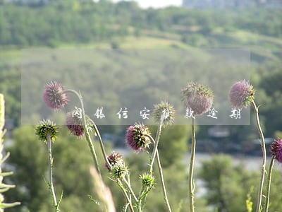 闪银信安贷款逾期 闪银信安贷款逾期