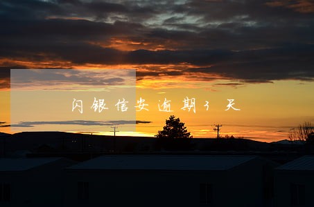 闪银信安逾期3天 闪银信安逾期3天