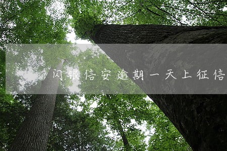 闪银信安逾期一天上征信吗 闪银信安逾期一天上征信吗