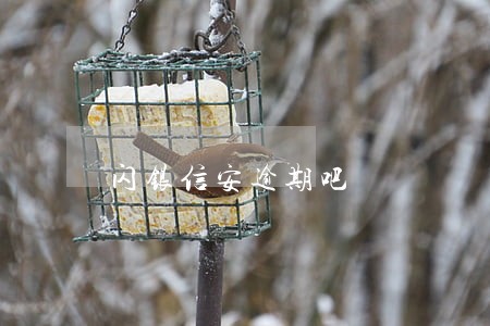 闪银信安逾期吧 闪银信安逾期吧