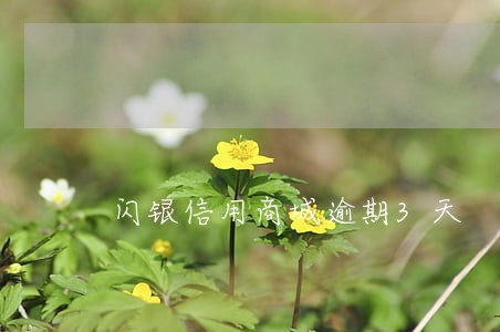 闪银信用商城逾期3天 闪银信用商城逾期3天