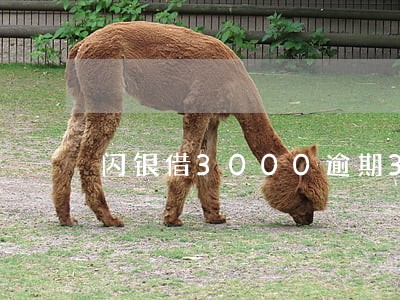 闪银借3000逾期3天利息 闪银借3000逾期3天利息