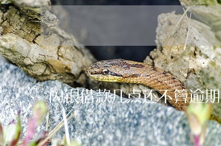 闪银借款几点还不算逾期 闪银借款几点还不算逾期